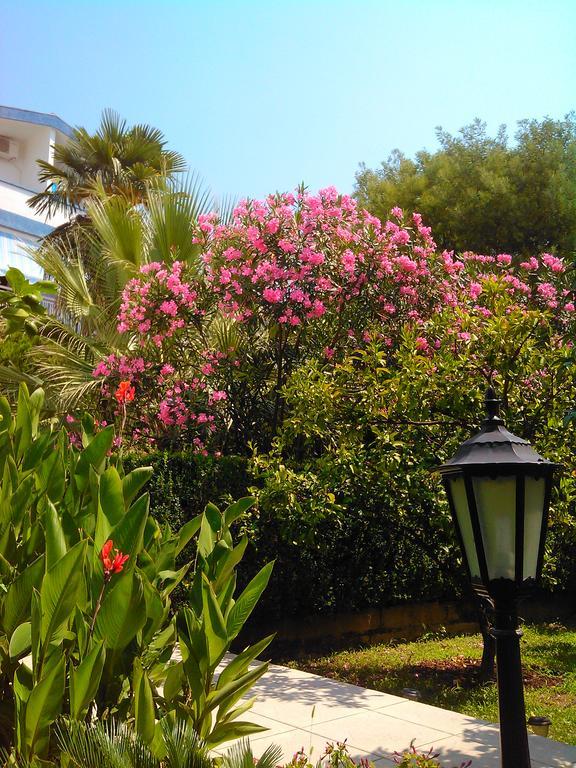 Becici Appartement Budva