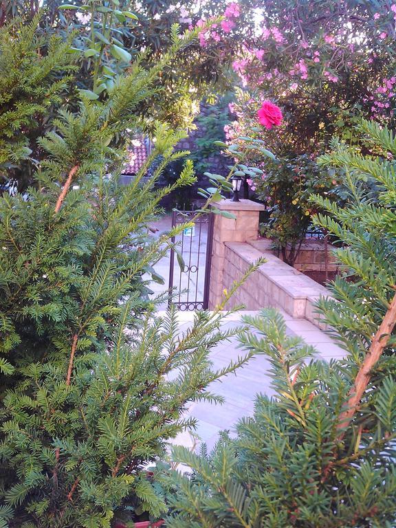 Becici Appartement Budva
